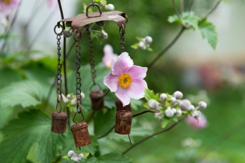 Windspiel umrankt von Herbstanemonenblüten 