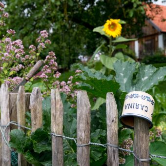 Gartenzaun mit Trinkbecher und Blumen