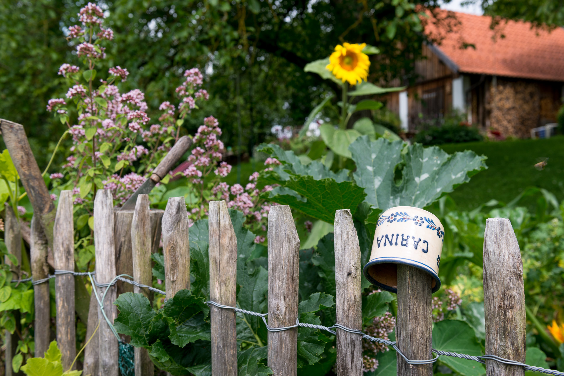 Gartenzaun mit Trinkbecher und Blumen